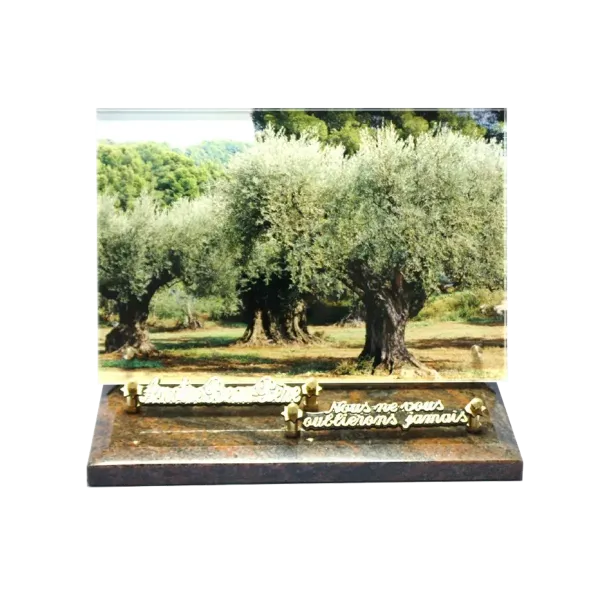 Plaque funéraire altus  - Leader Granits