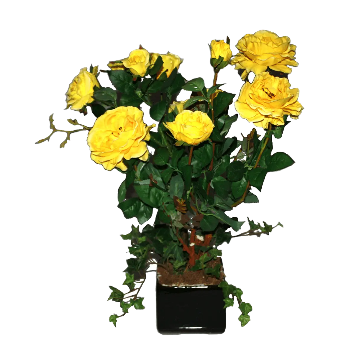 Vases – illustration d'un produit funéraire