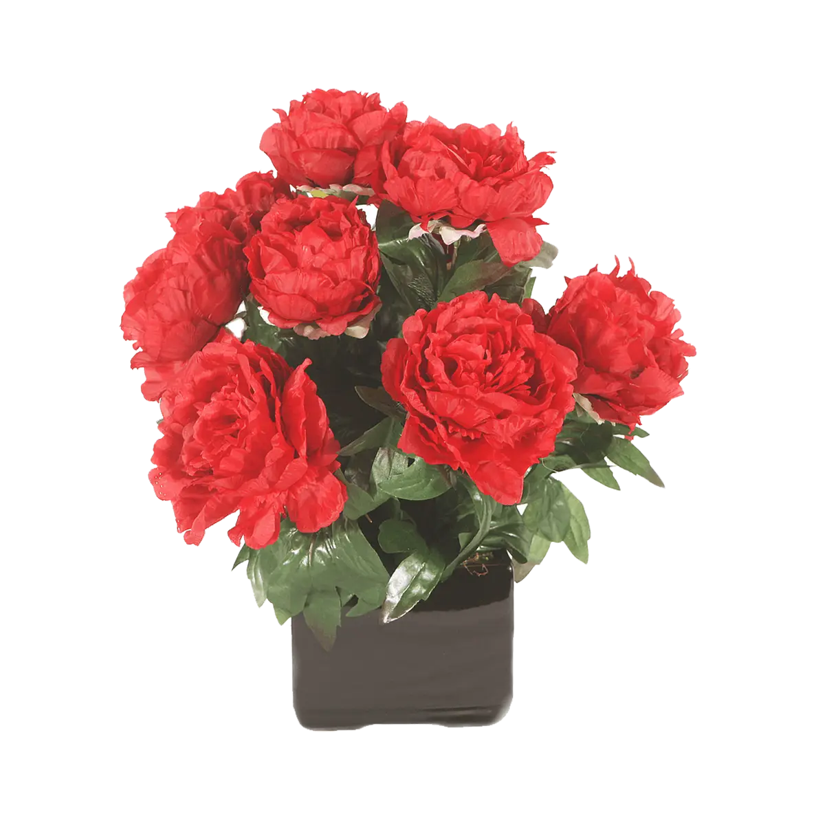 Vases – illustration d'un produit funéraire