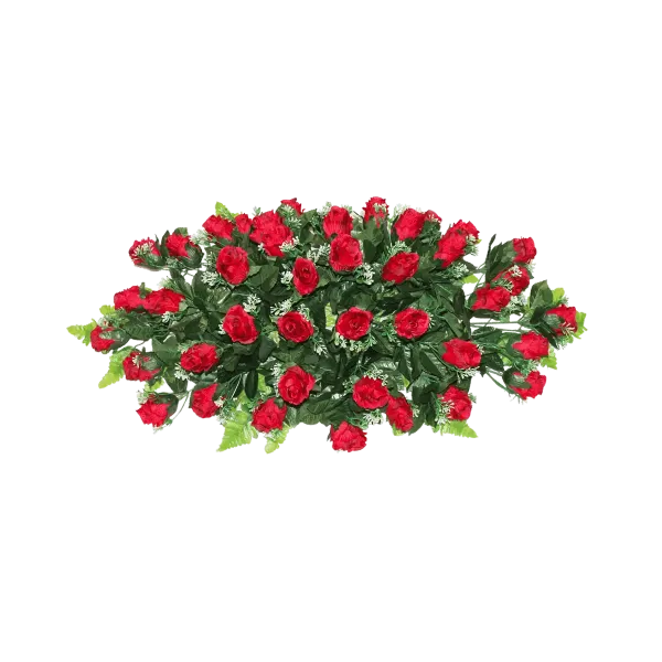 Raquette  - Leader Granits