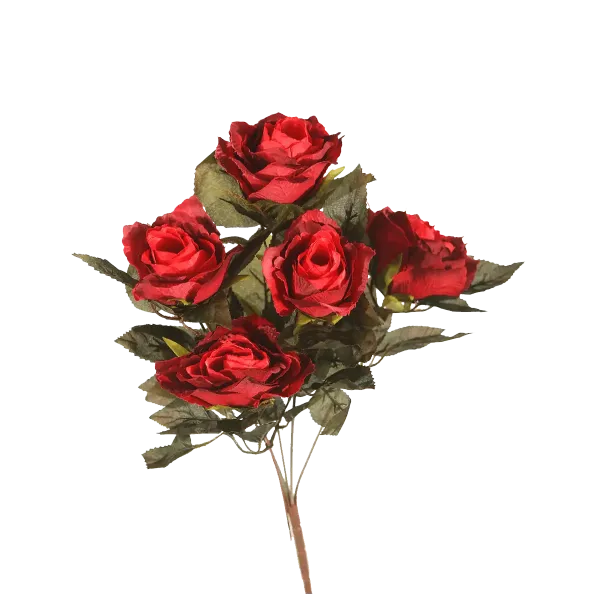 Piquet  - Leader Granits